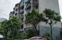 钢球小区实景图
