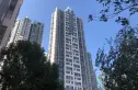 公园六号实景图
