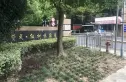 赞成红树林实景图