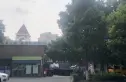 赞成红树林实景图