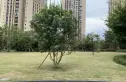 晋愉V时代住宅实景图